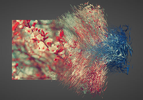 img-transition